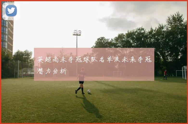 英超尚未夺冠球队名单及未来夺冠潜力分析