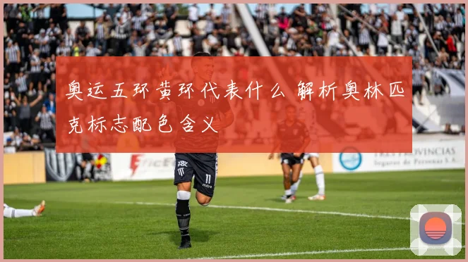 奥运五环黄环代表什么 解析奥林匹克标志配色含义