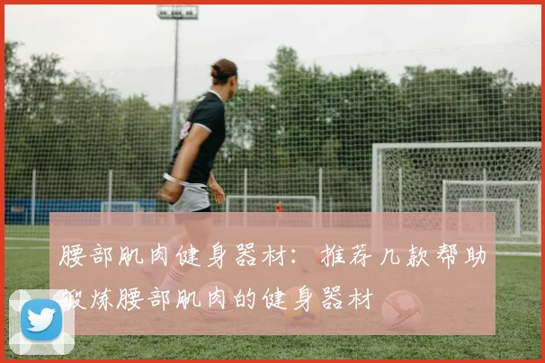 腰部肌肉健身器材：推荐几款帮助锻炼腰部肌肉的健身器材
