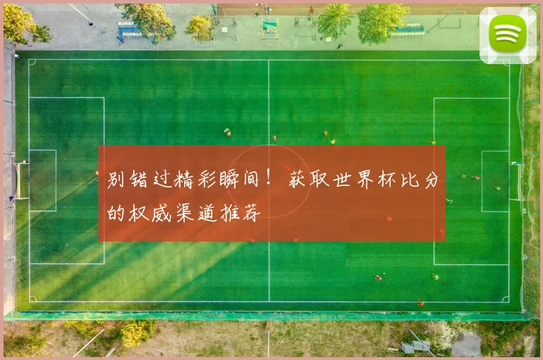 别错过精彩瞬间！获取世界杯比分的权威渠道推荐