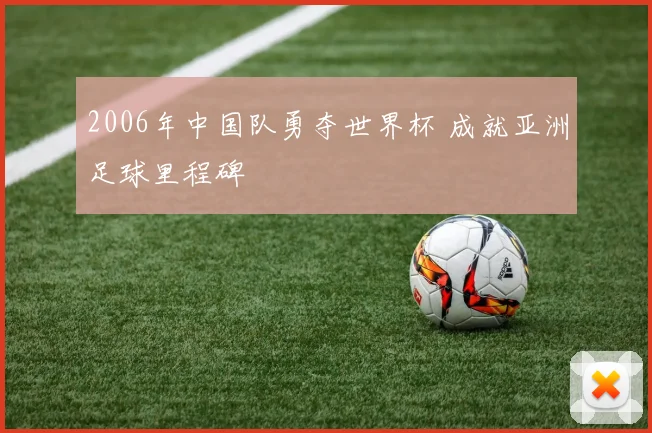 2006年中国队勇夺世界杯 成就亚洲足球里程碑