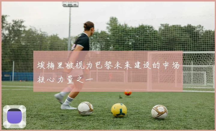 埃梅里被视为巴黎未来建设的中场核心力量之一